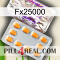 Fx25000 new12